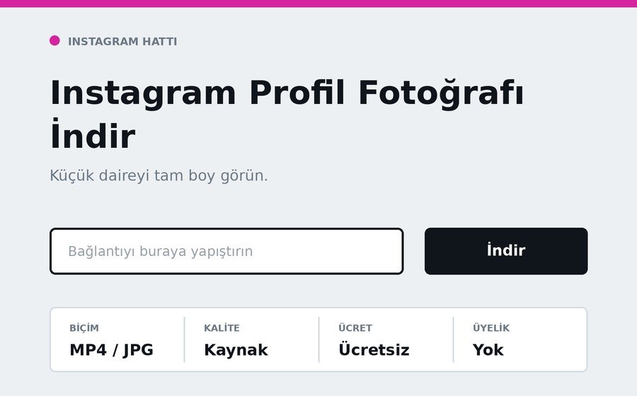 Instagram Profil Fotoğrafı İndir arayüzü