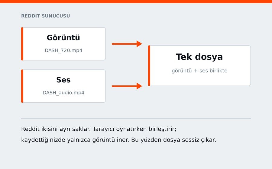 Reddit videosu neden diğer platformlardan farklı