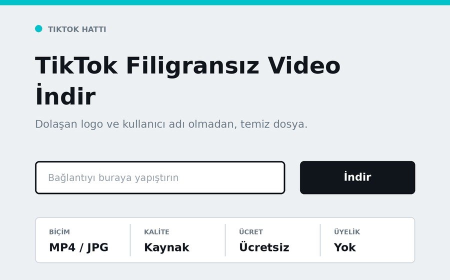 TikTok Filigransız Video İndir arayüzü