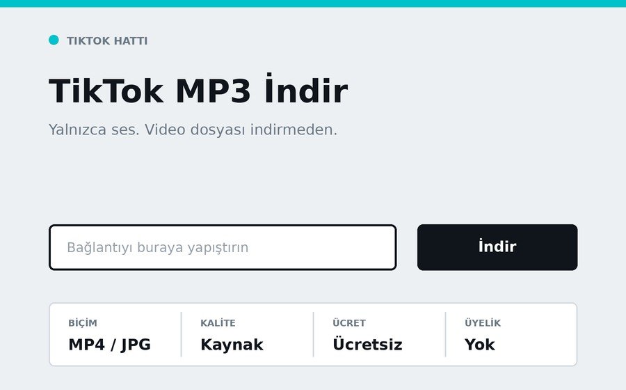 TikTok MP3 İndir arayüzü