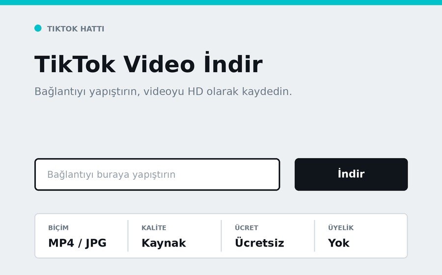 TikTok Video İndir arayüzü