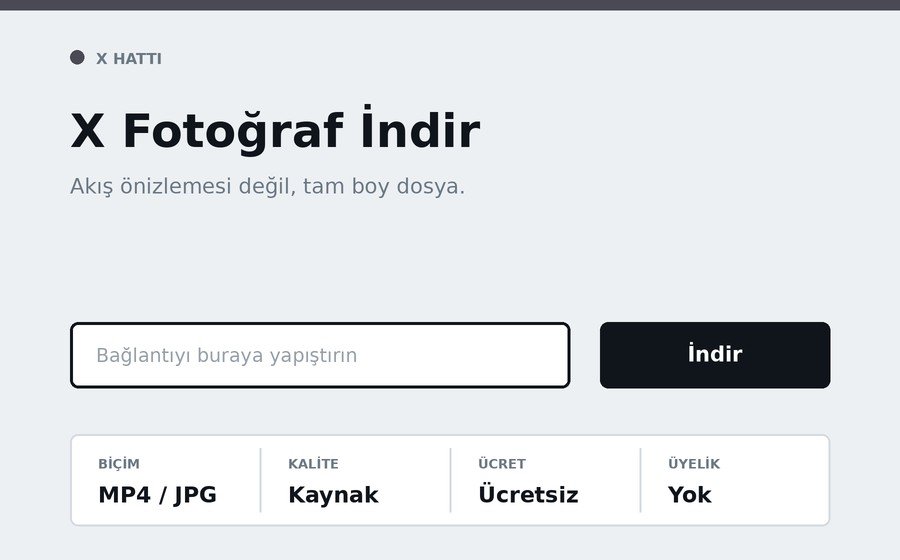 X Fotoğraf İndir arayüzü
