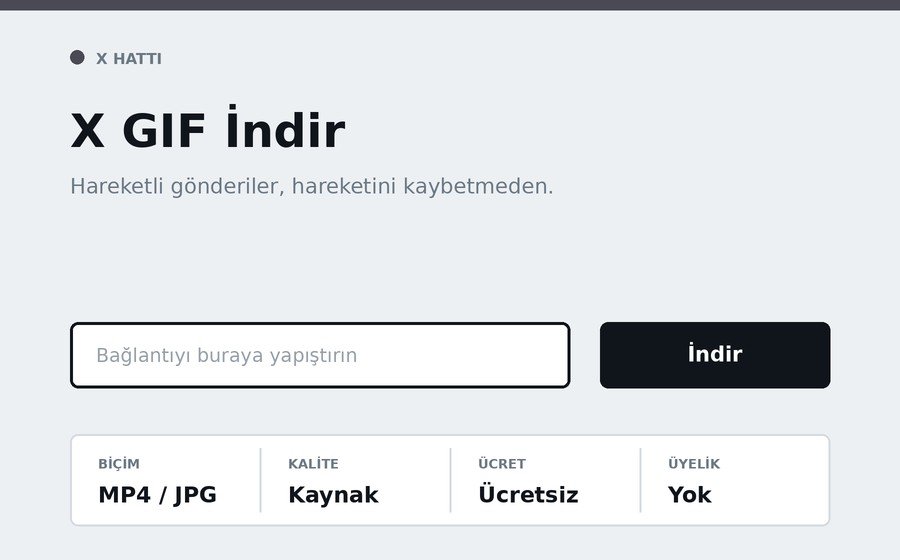X GIF İndir arayüzü