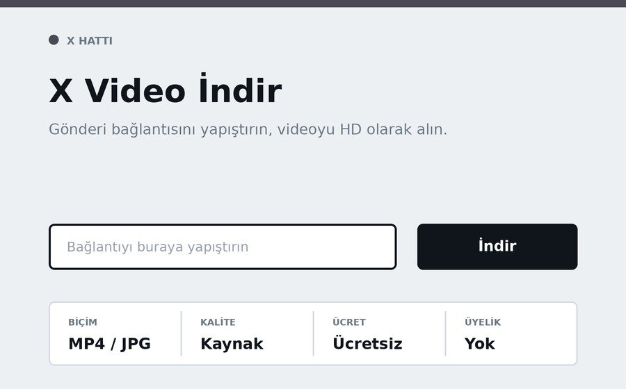 X Video İndir arayüzü